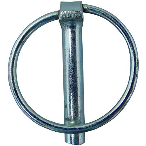 ヒン様 31CGHNTsBOS.jpg